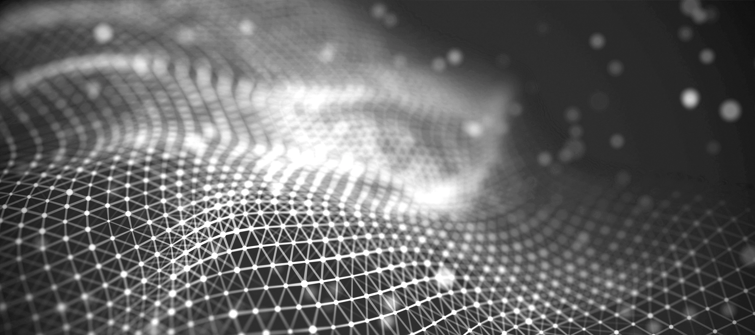 Zdjęcie nagłówkowe